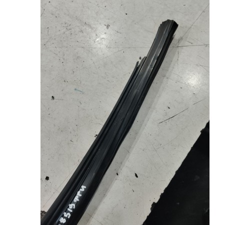 Уплотнитель стекла двери (передний левый)