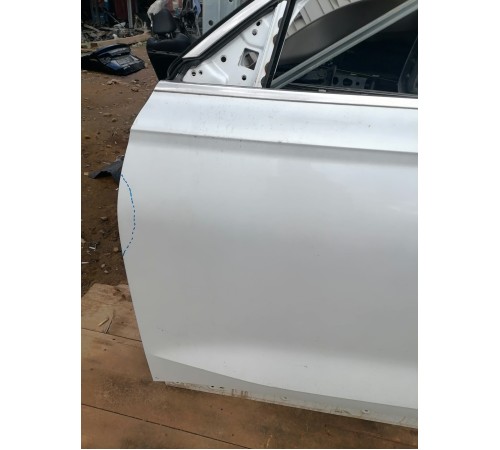 Дверь передняя левая