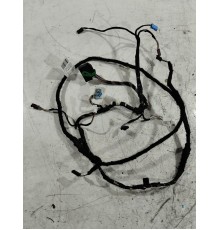 Электропроводка обшивки двери (передняя левая)