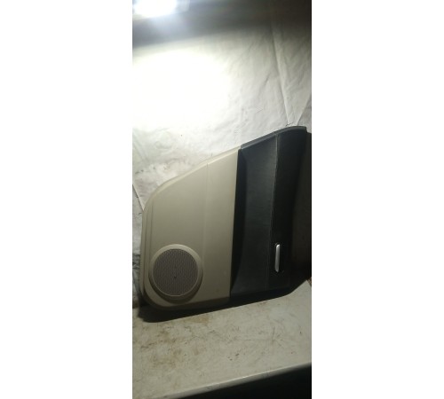 Обшивка двери задней левой