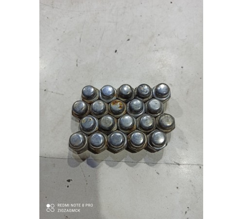 Комплект колесных гаек(20шт.)