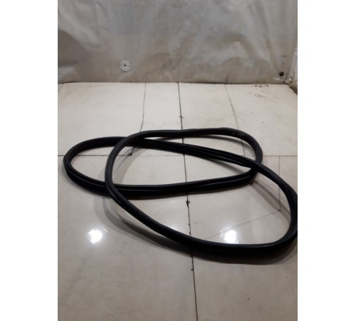 Уплотнитель двери(задний левый)