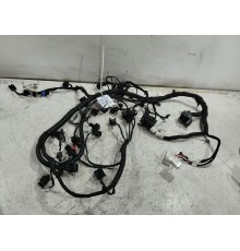 Электропроводка моторная