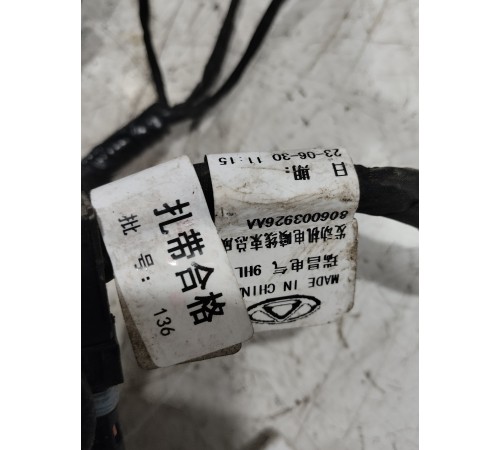 Электропроводка моторная