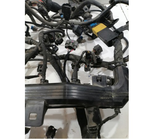 Электропроводка моторная,двигателя