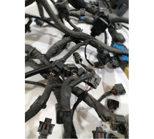 Электропроводка моторная,двигателя