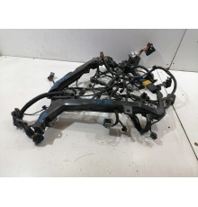 Электропроводка моторная,двигателя