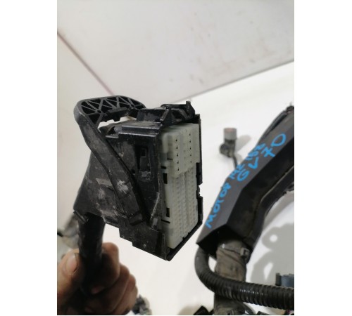 Электропроводка моторная,двигателя