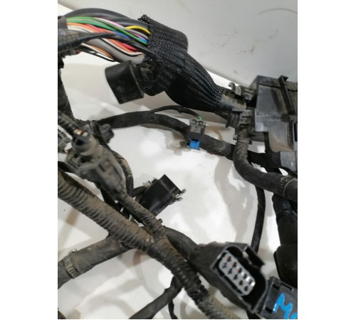 Электропроводка моторная,двигателя