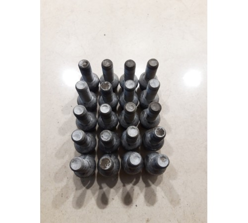 Комплект колесных болтов(20 шт)