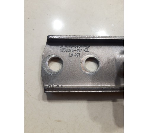 Петля двери(задняя левая нижняя)