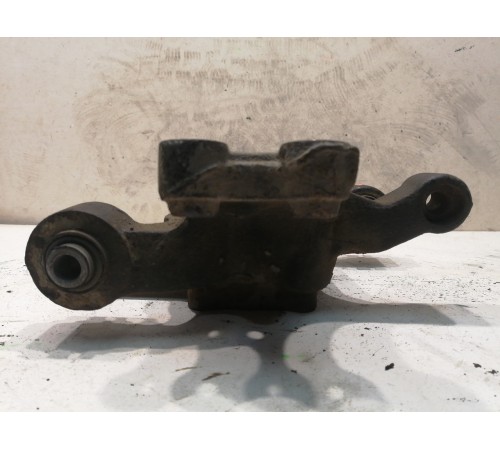 Кулак поворотный задний