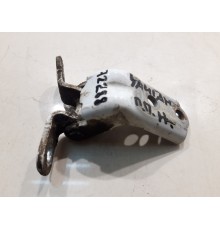 Петля двери (передняя, правая, нижняя)