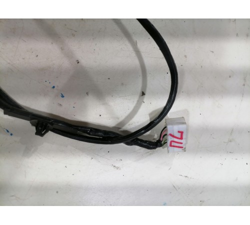 Жгут Потолка