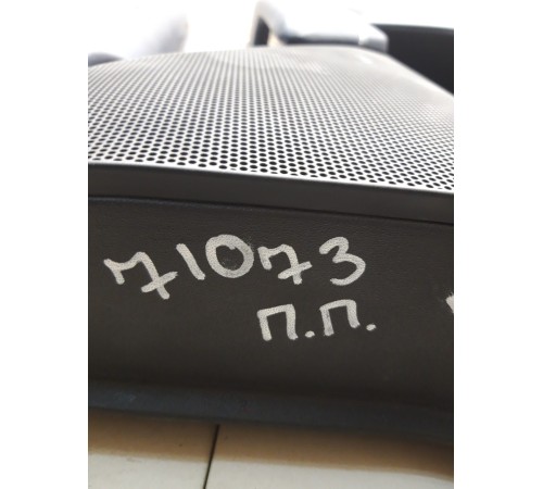 Обшивка двери (передняя. правая) (с подсветкой)