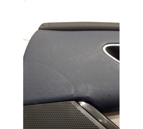 Обшивка двери (передняя. правая) (с подсветкой)