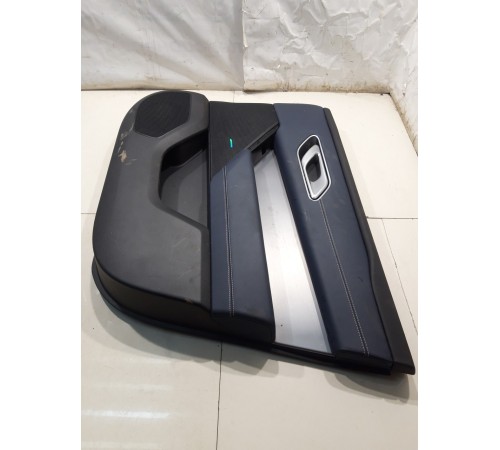 Обшивка двери (передняя. правая) (с подсветкой)