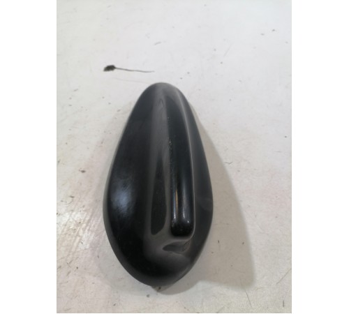 Антенна (плавник)