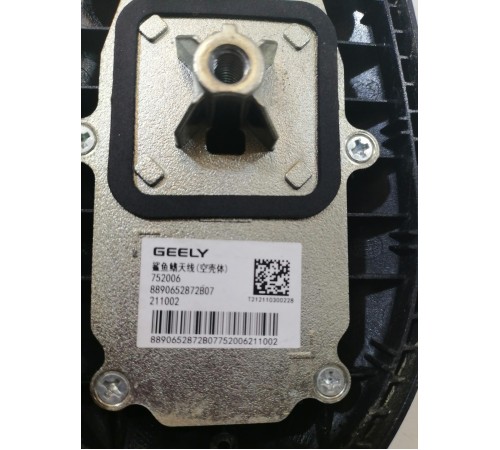 Антенна (плавник)