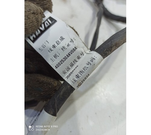 Электропроводка двери (задняя левая)