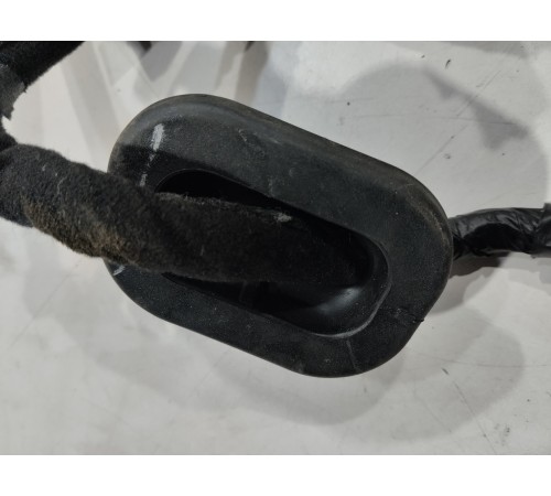 Электропроводка двери (передняя левая)