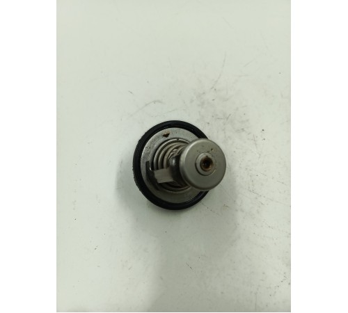 Термоэлемент термостата