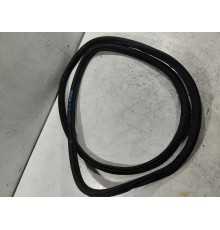 Уплотнитель двери (задний левый)