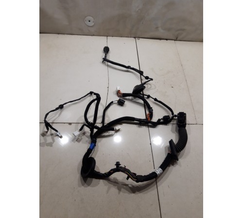 Электропроводка двери (передняя левая)