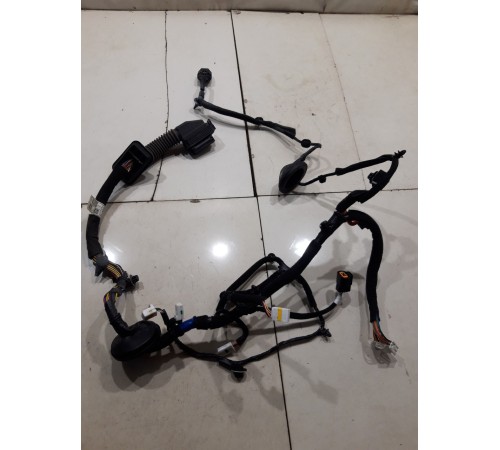 Электропроводка двери (передняя левая)