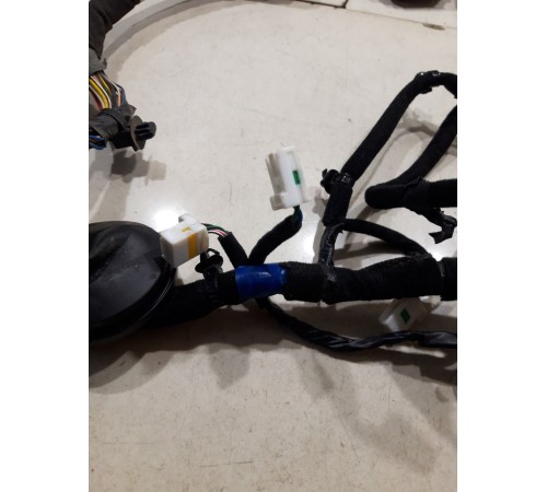 Электропроводка двери (передняя левая)