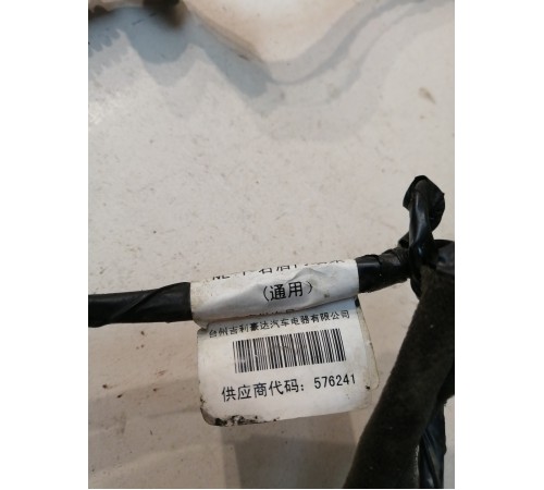 Проводка двери задняя правая