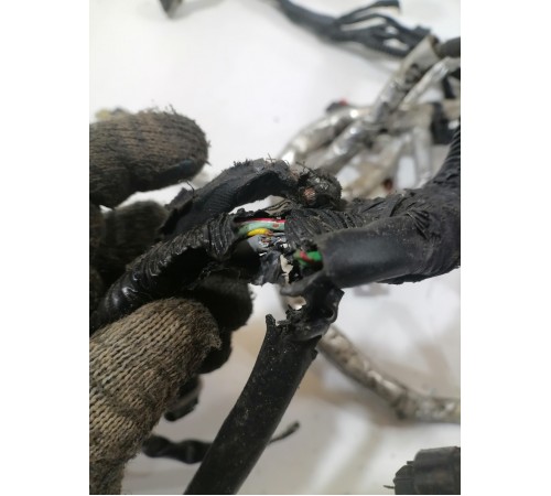 Электропроводка двигателя