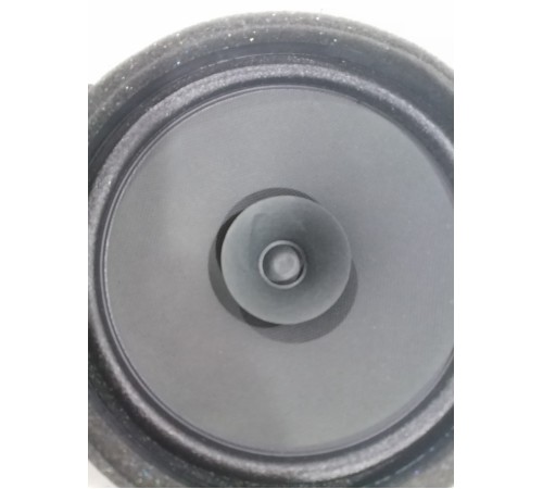 Динамик задний