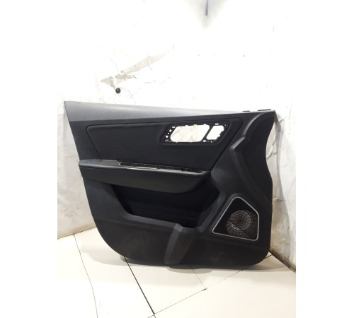 Обшивка двери(передняя левая)