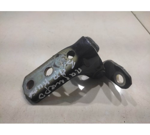 Петля двери (задняя, правая, нижняя)