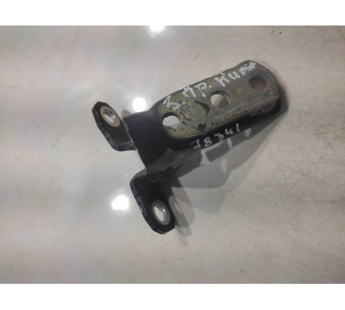 Петля двери (задняя, правая, нижняя)