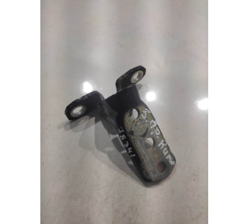 Петля двери (задняя, правая, нижняя)