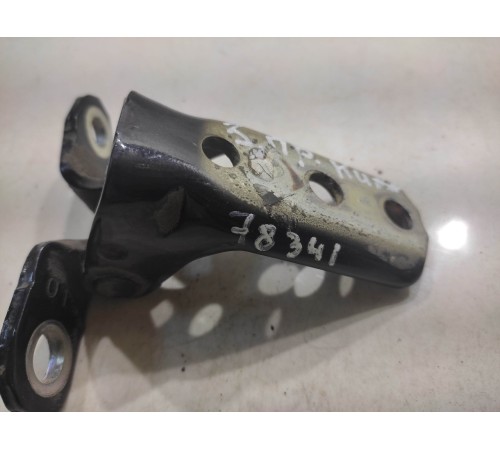 Петля двери (задняя, правая, нижняя)