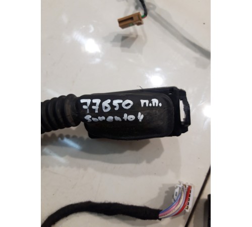 Электропроводка двери (передняя, правая)