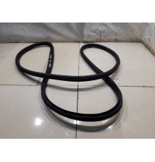 Уплотнитель двери (передний, правый)