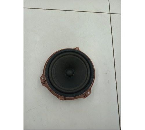 Динамик двери