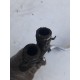 Трубка системы охлаждения(металлическая)