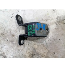 Петля двери задняяя левая нижняя