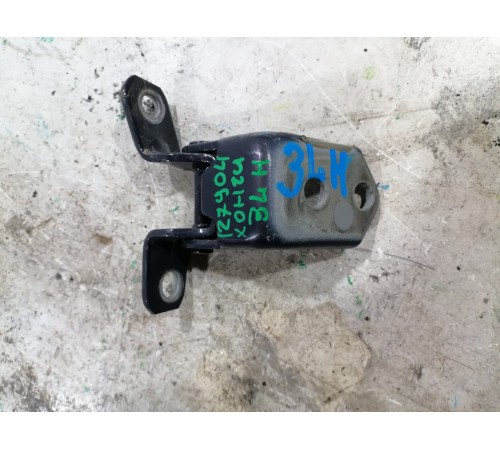 Петля двери задняяя левая нижняя