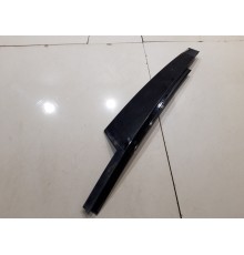 Молдинг двери(передний правый)