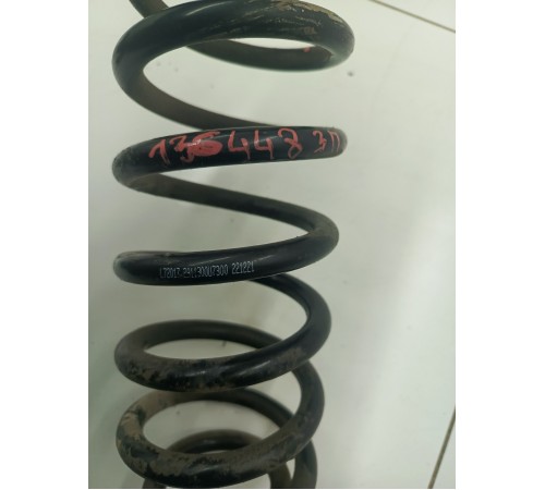 Пружина задняя