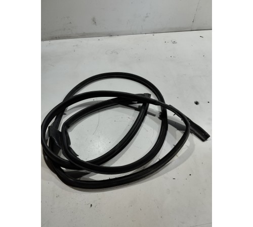 Уплотнитель двери(передний левый)