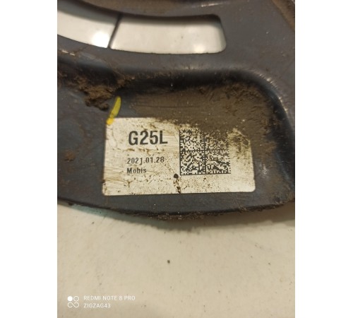 Пыльник тормозного диска (задний левый)