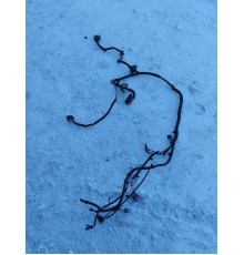 Электропровода подкапотная