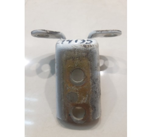 Петля двери (задняя, левая, нижняя)